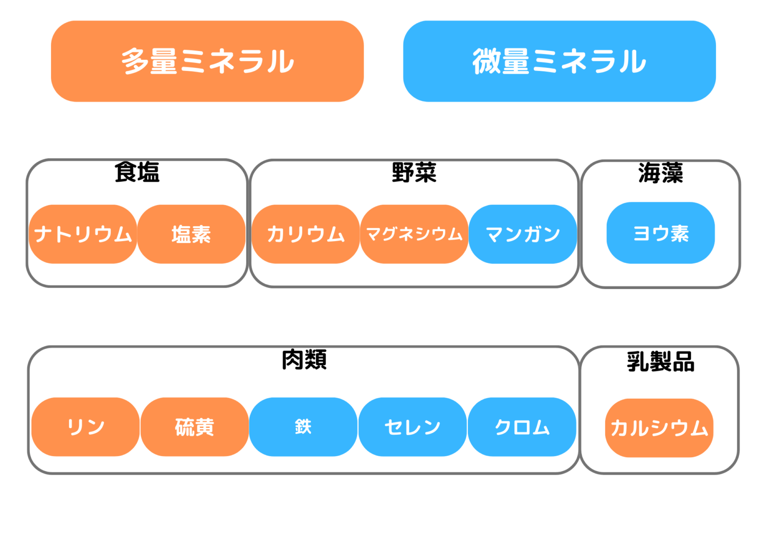 栄養基本編!ミネラルってどんな栄養素?種類と働きを簡単解説! | MToG