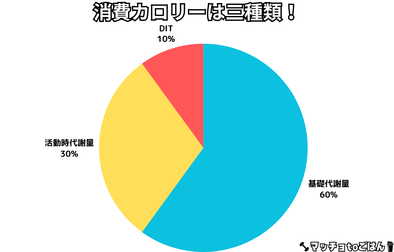 消費カロリー三種類の円グラフ